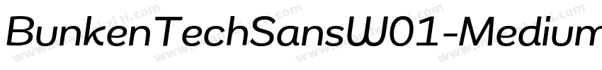 BunkenTechSansW01-Medium Regular字体转换